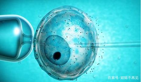 胚胎实验室